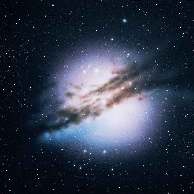 21 Best Galaxy Names for Pets (w/Meanings & Personality Traits) 22 image 6